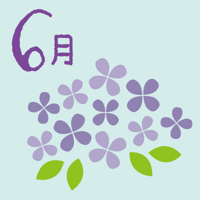 6月紫陽花